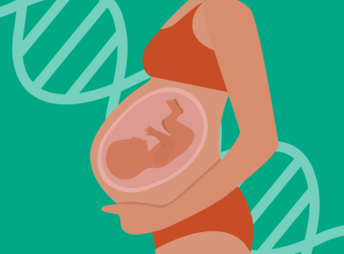 fetal care illustration 2